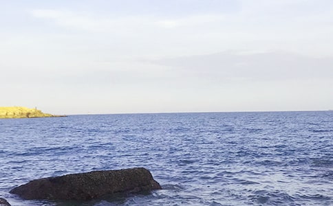 ��Сѧ����