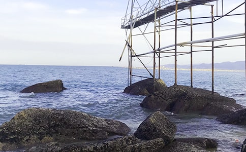 美丽的大海小学作文