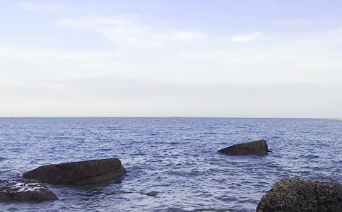 ��Сѧ����