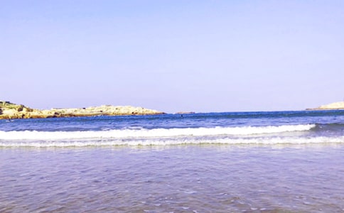 ��Сѧ���Ľ���[5ƪ]