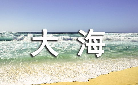 《我爱大海》读后感