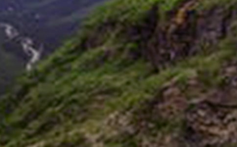 《翻越远方的大山》读后感