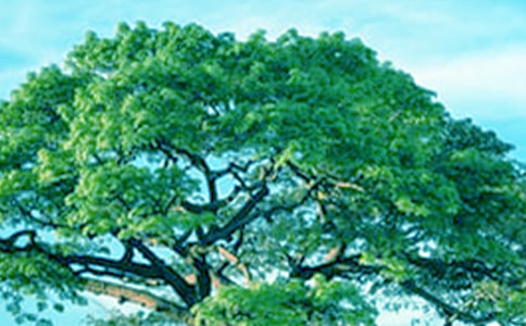 [����]һ�ô��������2ƪ