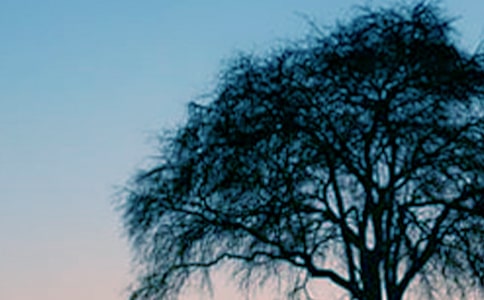 С��������ĶԻ���ѧ��˼