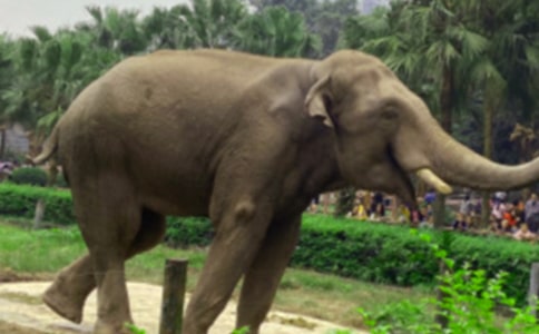 ������������