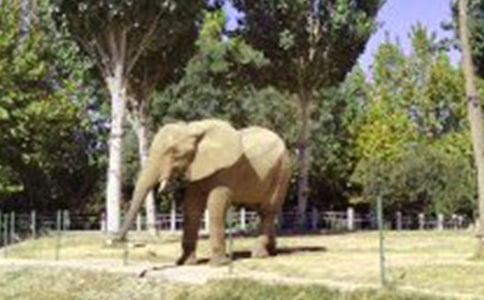 �����Ӵ���������