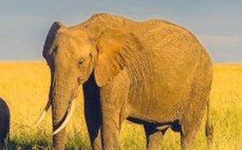 �������������7ƪ