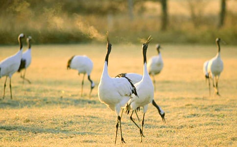 �������ĵ����ס���ѧ��˼15ƪ