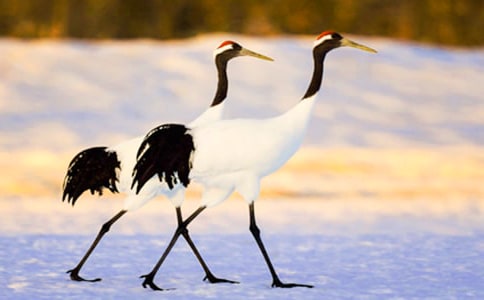 �������ĵ����ס���ѧ��˼(���15ƪ)