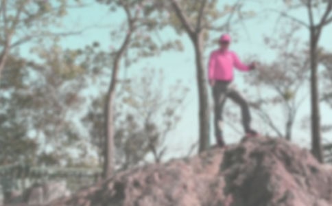 实用的登山小学作文汇编8篇