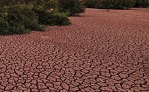 《地球在呻吟》读后感4篇