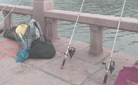 ����Сѧ���ġ����š�