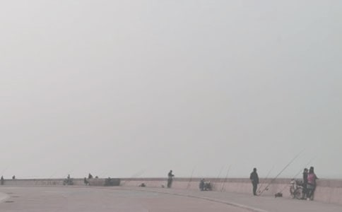 ��д�����Сѧ����