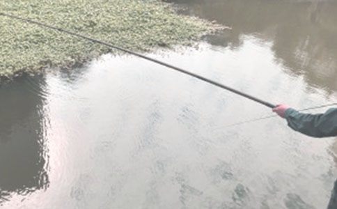 ����Сѧ����ͨ��15ƪ