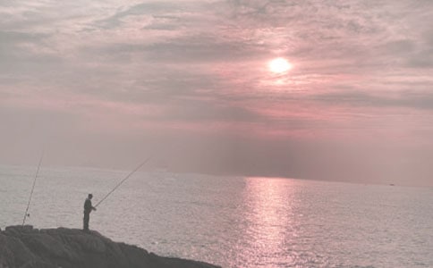 ����Сѧ����