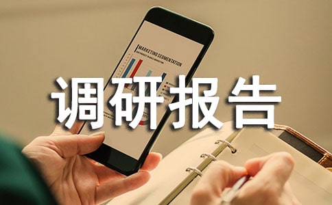 暑假社会调研报告