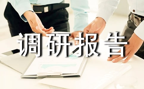 留守老人调研报告