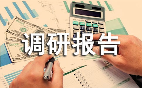 (必备)农村养老调研报告