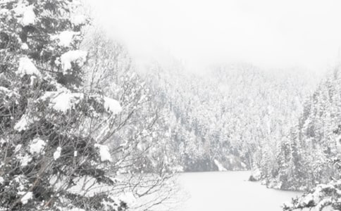 ���꼶�������Ļ����ƪ