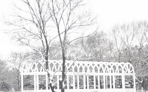 �����������꼶����������ƪ