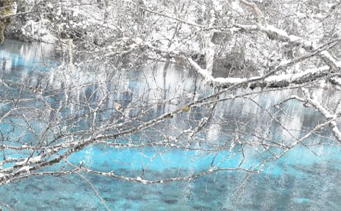 �������������ĵ�