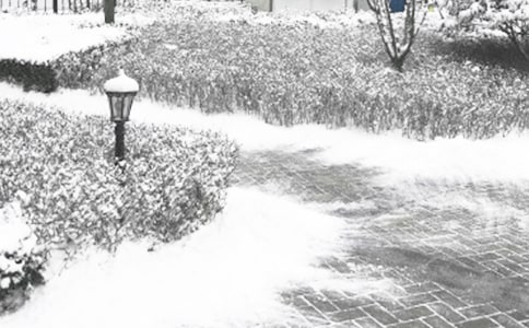 冬季的感言19篇