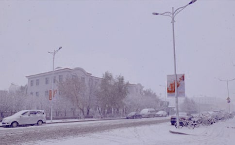 冬日早晨小学作文