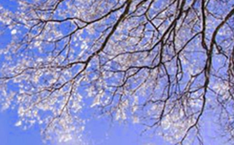 ���ڶ���ľ���