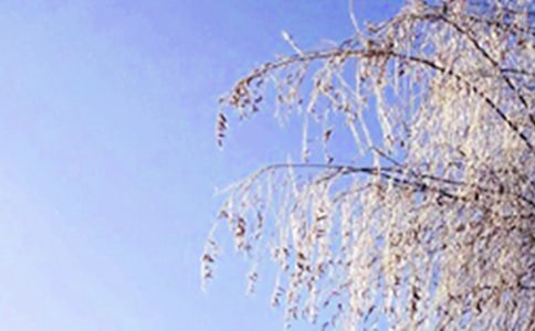 冬天温馨的句子