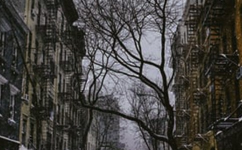 ����Ʒ�����꼶�������ļ��Ͼ�ƪ