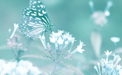 �۲춯ֲ���ռ�