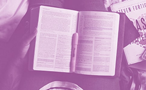 芳儿的梦读后感