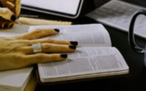 ���˹������мǶ��������