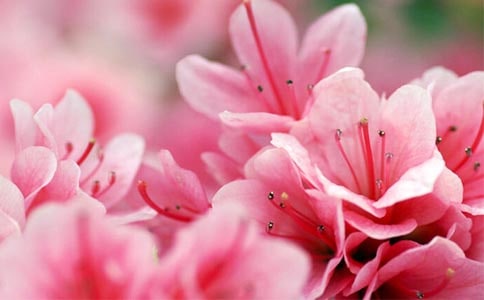 ��д�ž黨�ľ���7ƪ