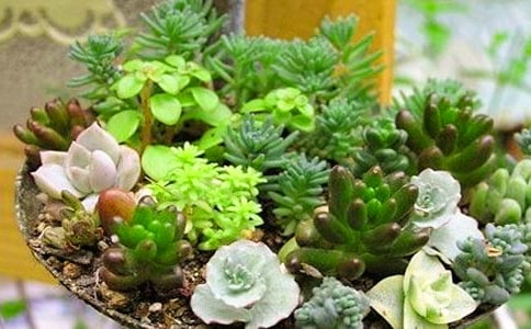 ����۲��ռ�