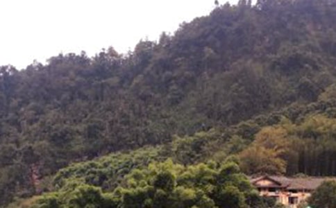 ��üɽ���δ�