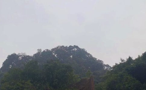 ��üɽСѧ����