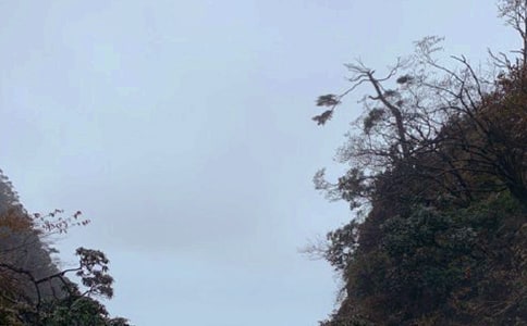 ��üɽ���δʾ�ѡ15ƪ