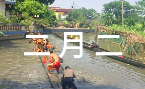 ���¶�����ף����