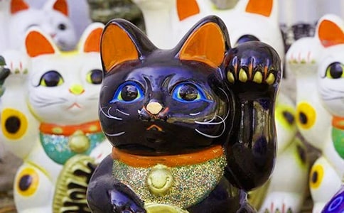 ���꼪�鷢�Ƶĳ���