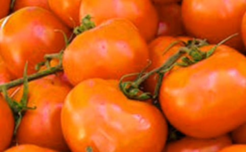 读《番茄太阳》有感15篇