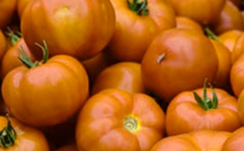 ����̫�������