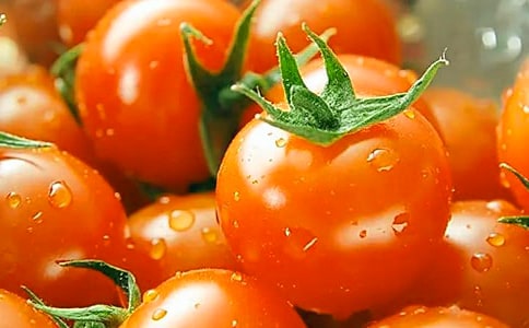 《番茄太阳》读后感