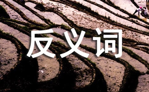 小看反义词是什么_反义词大全