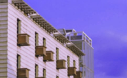 《小狗的房子》读后感