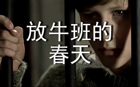 ��������ţ��Ĵ���ۺ��