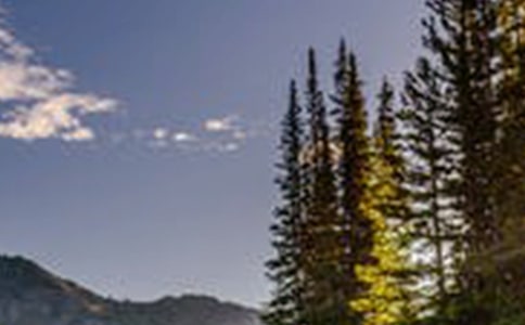 美丽的风景小学作文