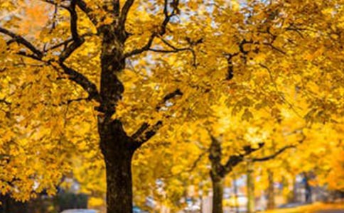 《风景这边独好》读后感