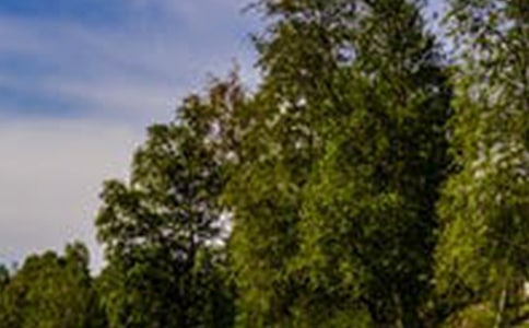 形容风景的句子21条