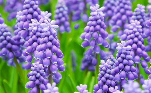 �����ӹ۲��ռ�